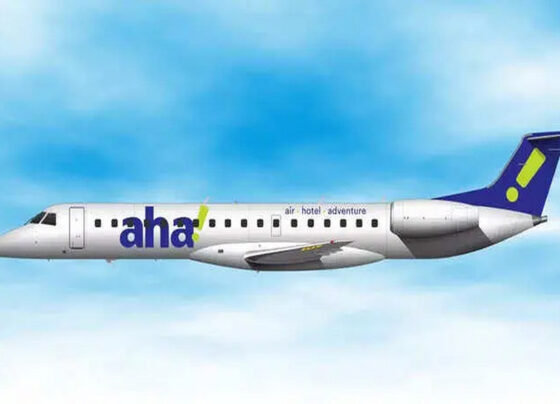 Aha! Airlines: A Fresh Start in the Airline Industry